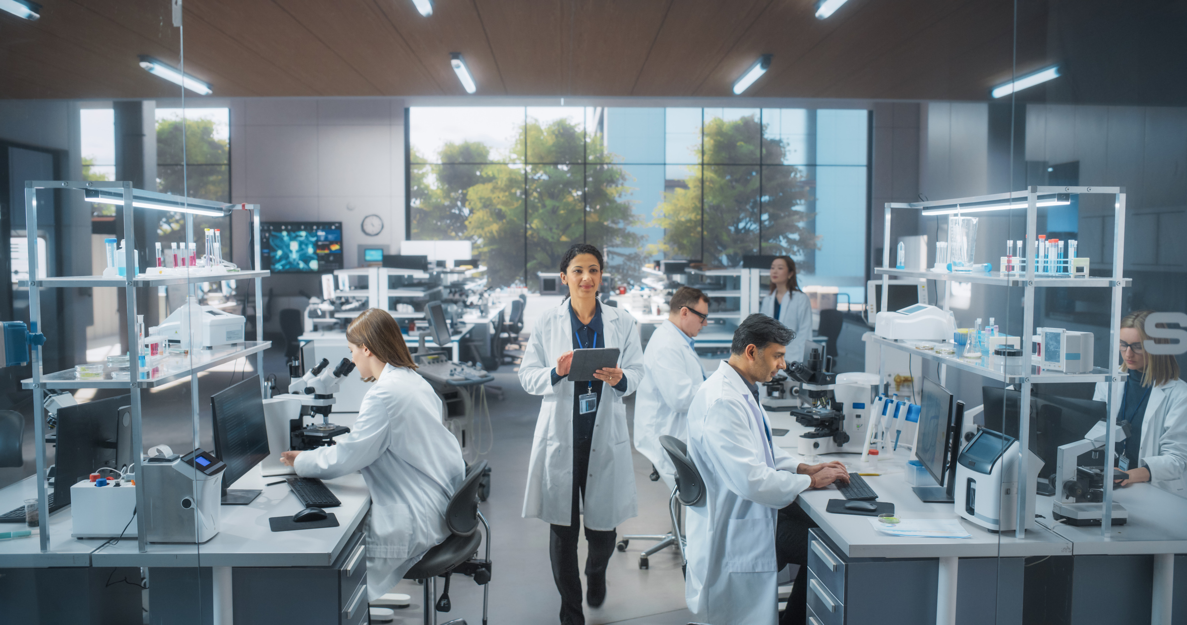 BusyLab_2026